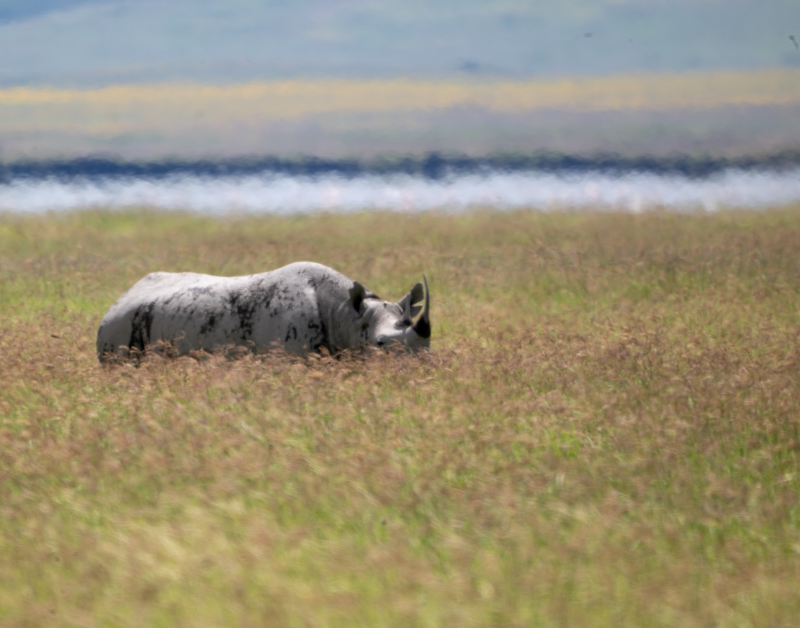 Luxury Travel Adventure in Tanzania