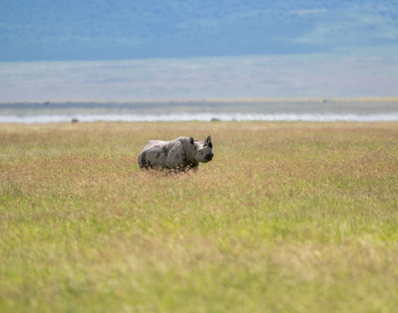 Luxury Travel Adventure in Tanzania
