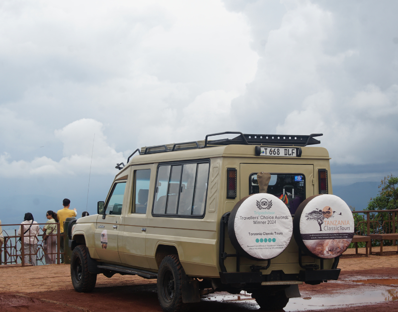 Safari Operators