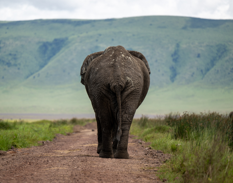 Tanzania honeymoon