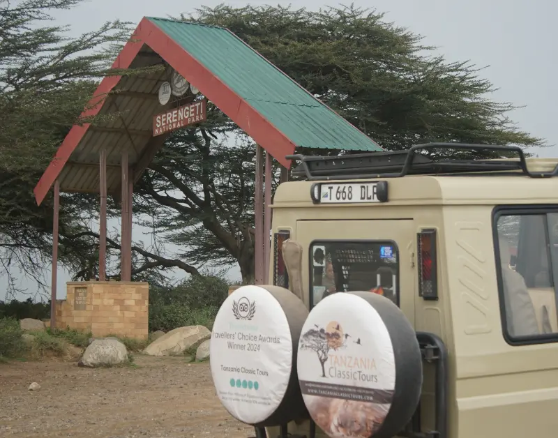 Tanzanian Safari Experience