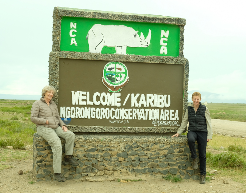 Wildlife Tours