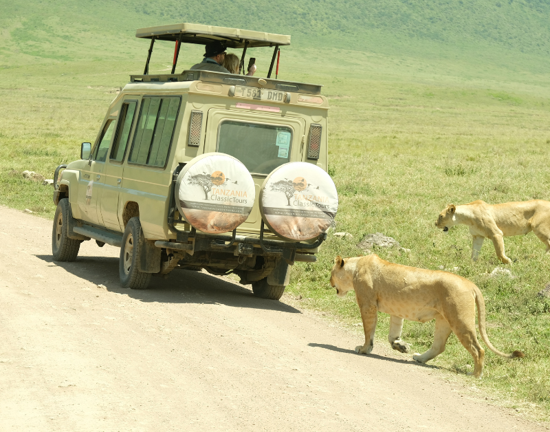 Zanzibar Travel Insurance