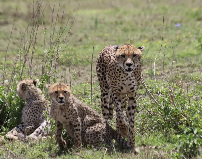 is Tanzania Safe for Tourists