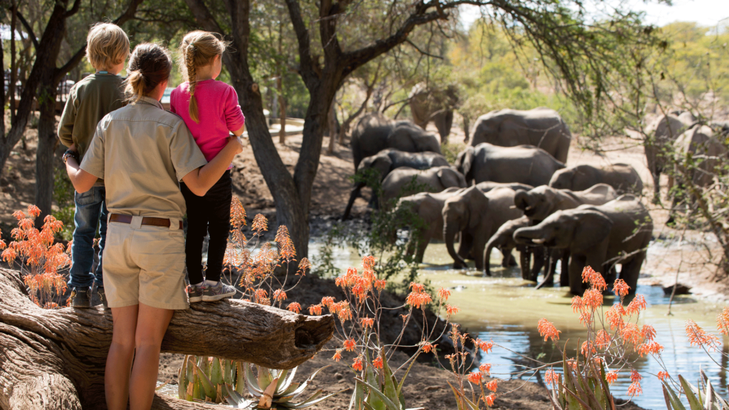Tanzania family safari