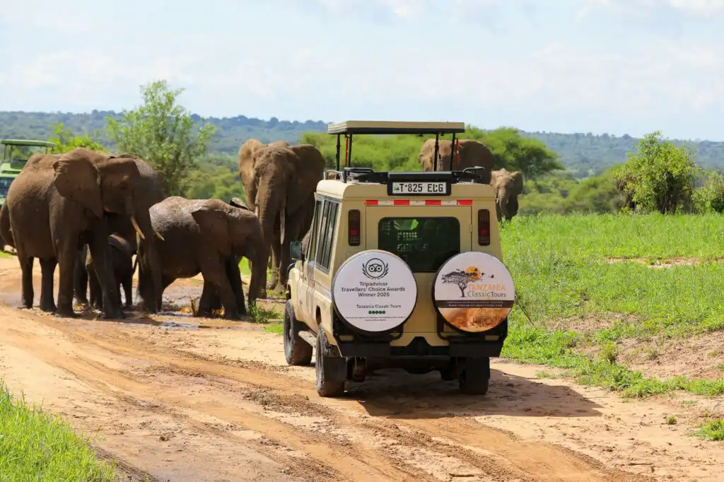 Tanzania Tourism