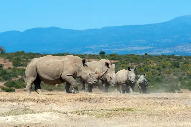 best safaris in tanzania